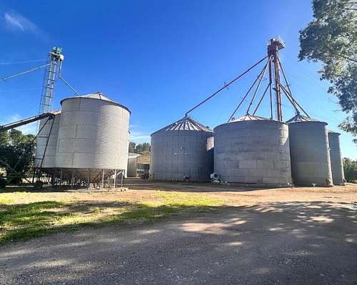 Planta de Silos 6500 Toneladas