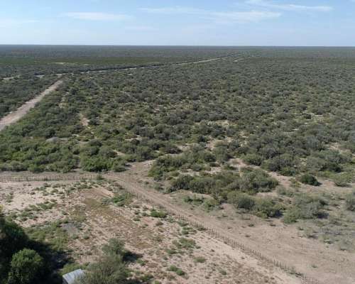 Las Catitas, Santa Rosa, Mendoza - 4.200 Ha