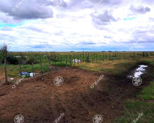 Campo en Venta 441 Has en General Villegas, Bs.as, Mixtas.