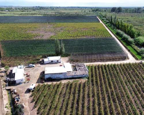 Finca de 15ha D° Riego, Pozo, Goteo.