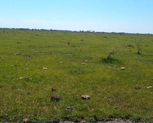 162.40 Ha de Campo Mixto