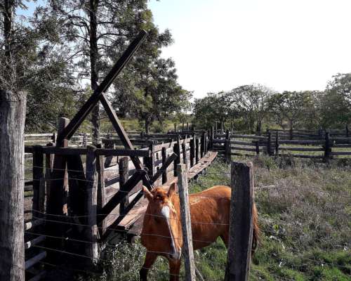 Oportunidad Campo Ruta 3, C/luz, 47 km Pirané Y150 de Fsa.