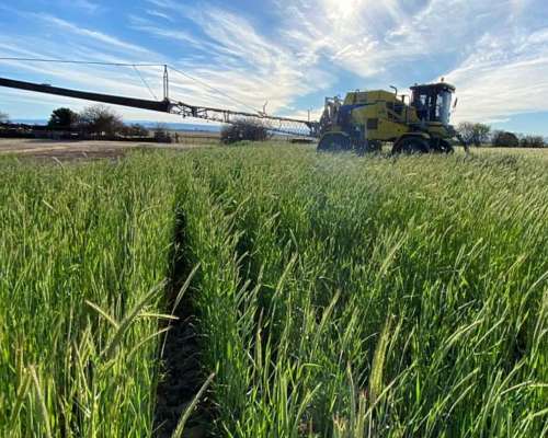 Pulverizadora Pla MAP II 4000