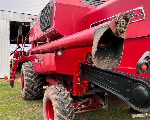 Se Vende Vasalli 1550