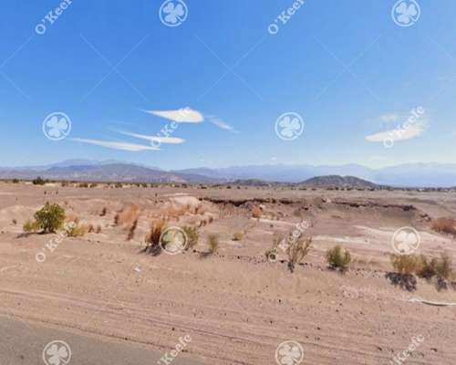 Campo en Venta 101 Has Fiambala, Catamarca