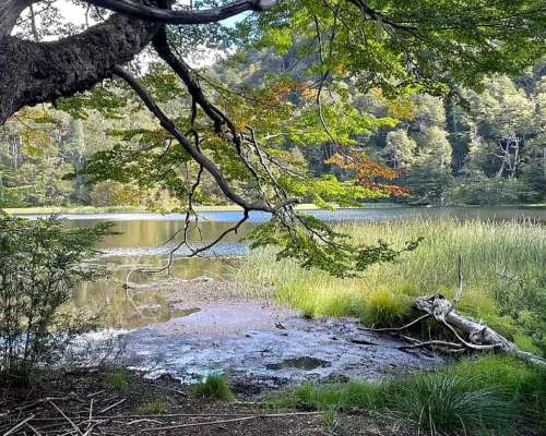 Venta Rio Negro Cordillera - Zona Manso 3915 Hectáreas