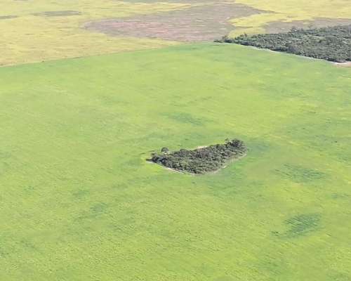 Chaco Frentones 630 Has