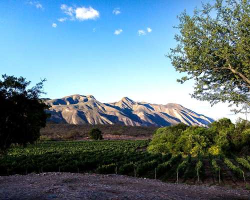 Coronel Moldes, la Viña, Salta - 24.137 Ha
