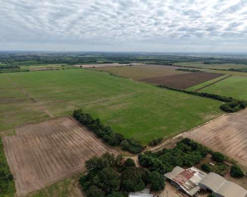 Palma Sola, Pilcomayo, Formosa - 153 Ha