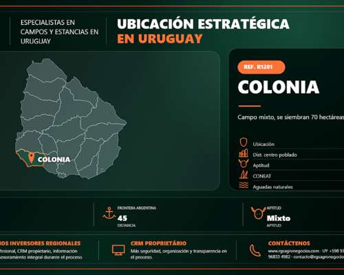 Uruguay Finca Ganadera y Agrícola – 100 Ha – Ref. 1281