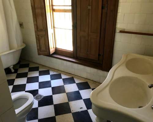 Casco de Campo Ecuestre Ideal para Haras