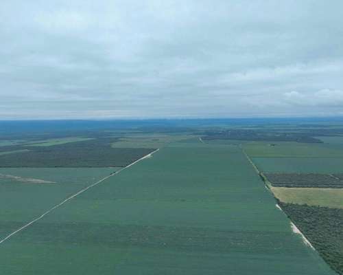 Pcia. de Catamarca - Bañado de Ovanta 437 Ha