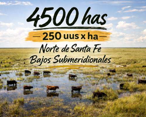 4500 Has - EA Novillera . Aguara STA FE