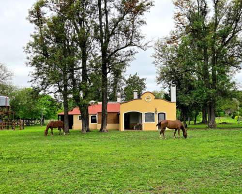Ch0005 Campo en Presidencia de la Plaza, Chaco.