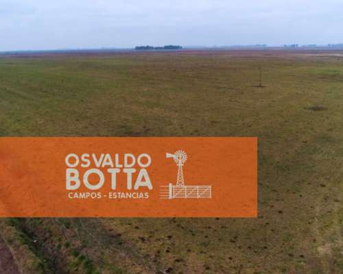 450has Mixtas en Bolivar, Buenos Aires