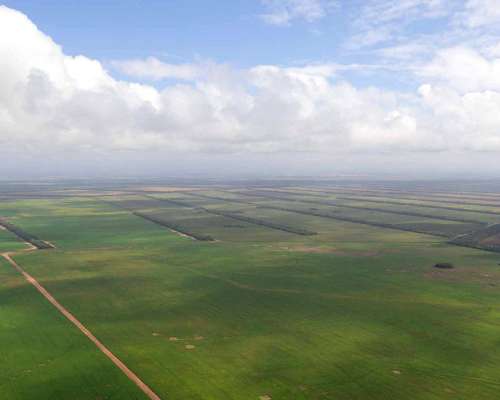 Pcia. de Salta - las Lajitas 8005 Has