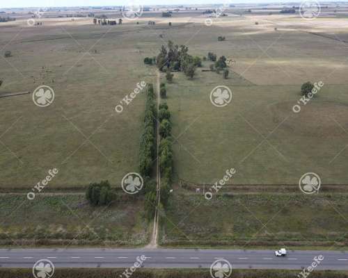 Campo en Venta de 227 Has en Ranchos. Mixto