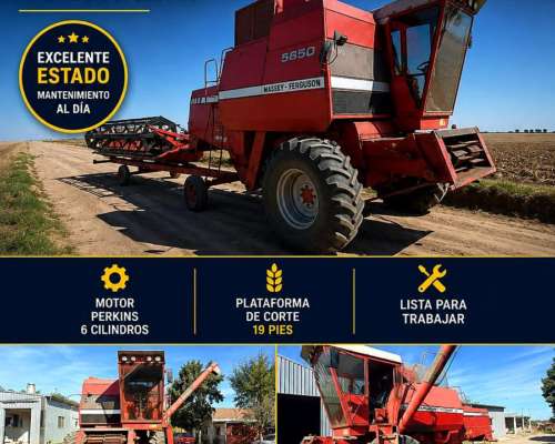 Massey Fergunson 5650 año 1993