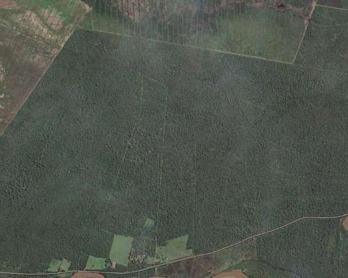 60 Hectáreas. Apto para Soja, Maíz, Trigo. Lamadrid, Tucumán