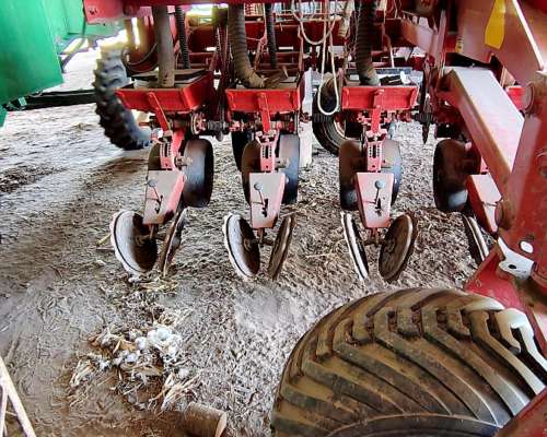 Crucianelli 14 Líneas a 52cm