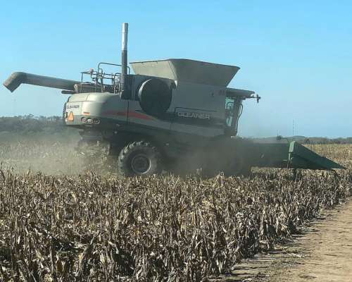 Gleaner a 85 Challenger 680 MF 9895