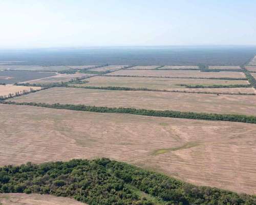 Pcia. de Salta - Embarcacion 1370 Has