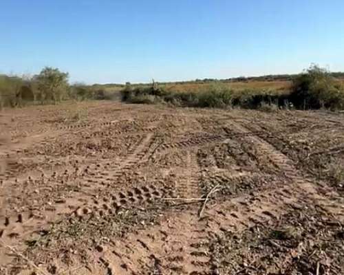Alquiler de Campo Paraguay Galeliano
