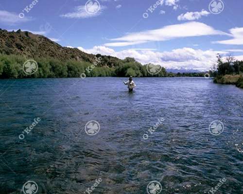 Chacras en Venta Sobre Rio Limay en Rio Negro