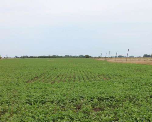 Ba3400 Venta Campo Mixto 640 Has. Monte Buenos Aires
