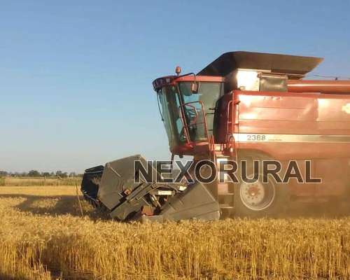 Case 2388 Extreme, 2005. 8000/1500 HS. 4x4. 30 P.