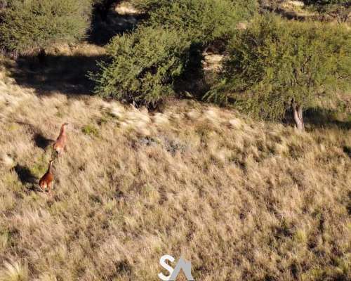 Vende: Espectacular Coto de Caza en la Pampa