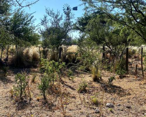 Juan Jorba Alquiler 176 Has