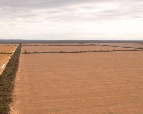 Pcia. de Salta - el Quebrachal 645 Has