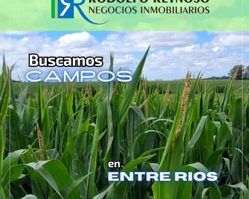 Buscamos Campos en Entre Ríos