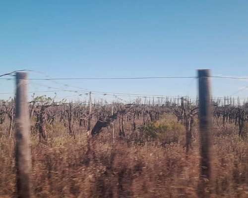 Vendo Finca en San Rafael