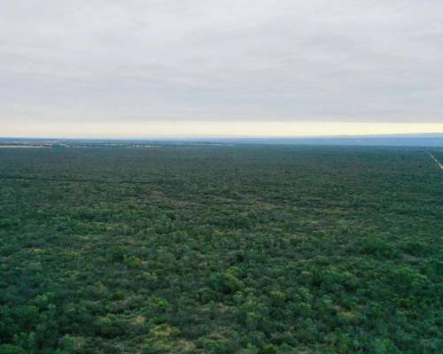 Pcia. de Santiago del Estero - Tapso 1948 Has