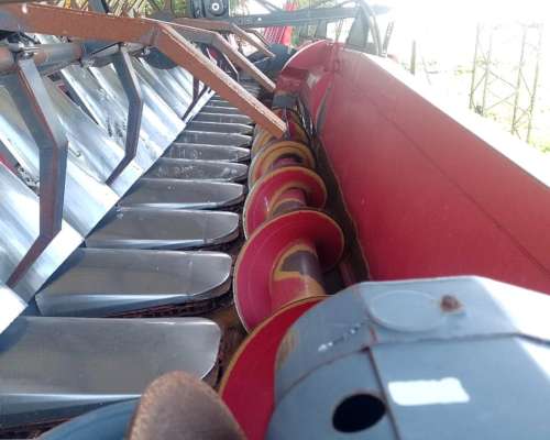 Mainero MDD 100 18 Surcos año 2017