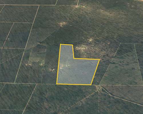 Campo en Venta Próximo a Lujan, San Luis (500 Has)