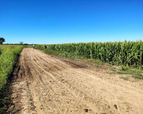 Vendo 190 Has en Coronel Bogado