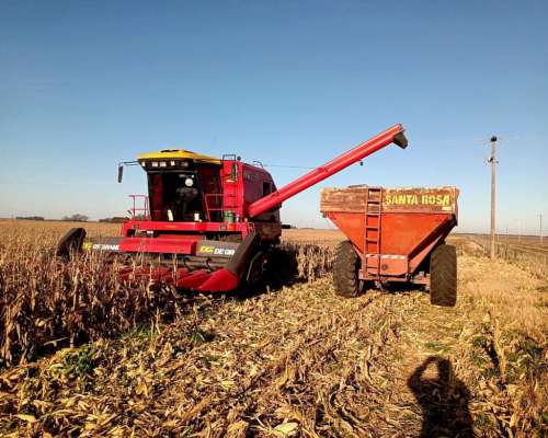 Maicero de Grande 10 a 52 con 400 Hs Uso. con Destroncador