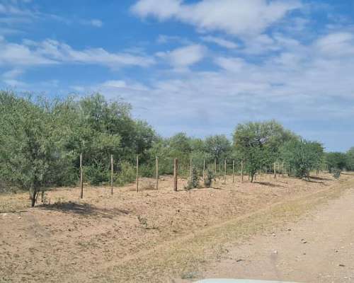2300 Ha Ganaderas en Quines