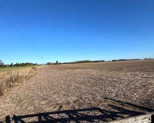 Campo Agrícola Sobre Autopista 9
