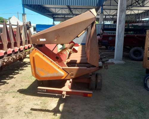 Maicero en Buen Estado