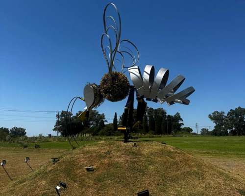 Campo Agrícola con Mejoras 27 Has.