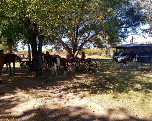 Recibo Hacienda en Capitalización