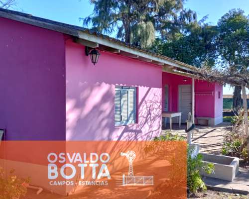 Campo Agricola en Venta, Mechongue, Buenos Aires