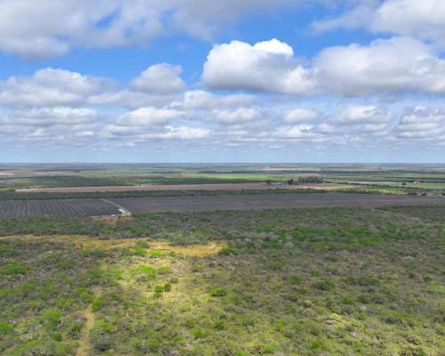 Pcia. de Entre Rios - Maria Grande 526 Has
