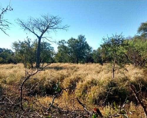 705 Has de Isla Gualeguay Entre Ríos