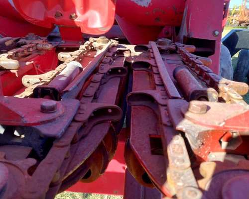 Cabezal Maicero Ombú de 16 a 52 año 2018