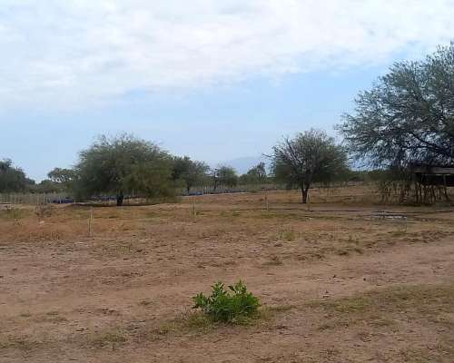Ferlot Campo Agricola Ganadero en Catamarca Vendo